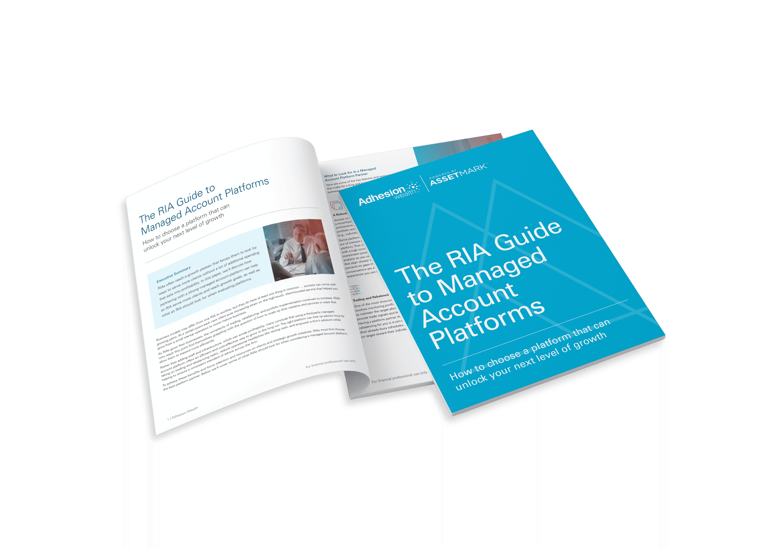 Managed Account Platform Paper