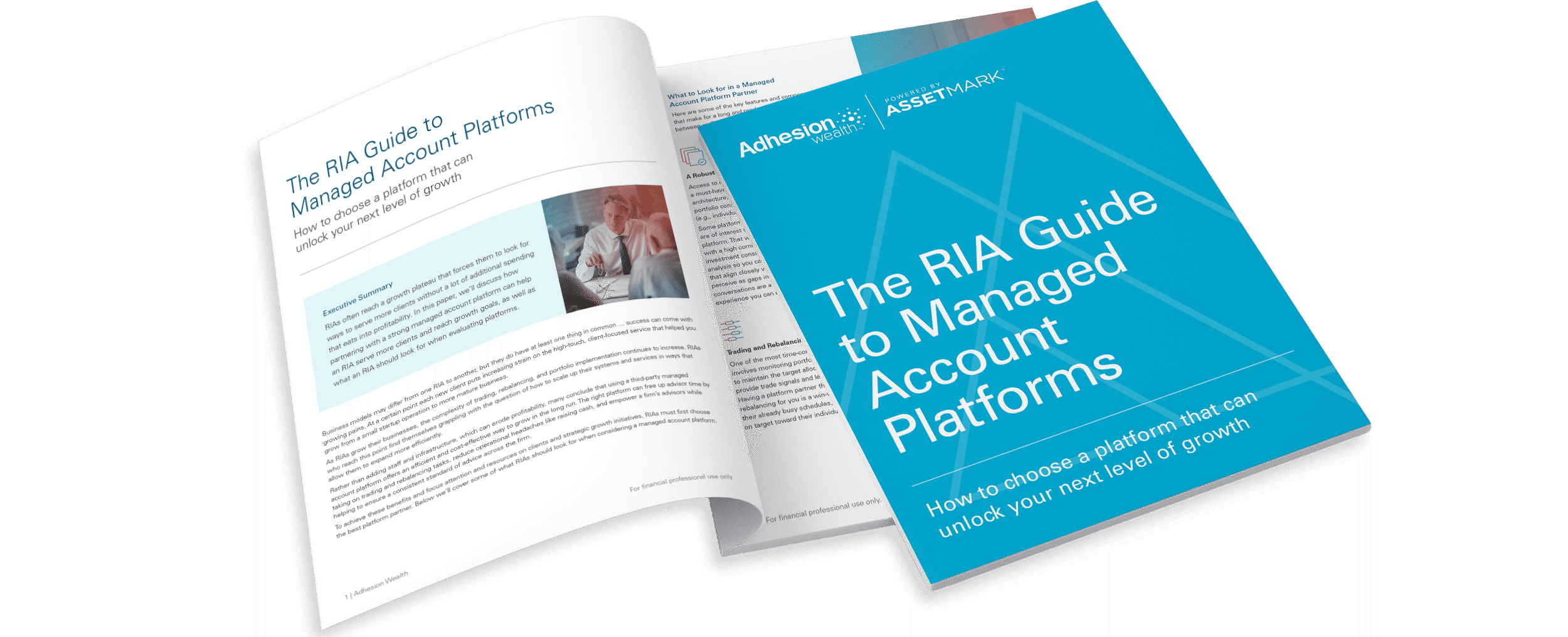 RIA Guide LP Image2